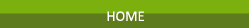 To home page